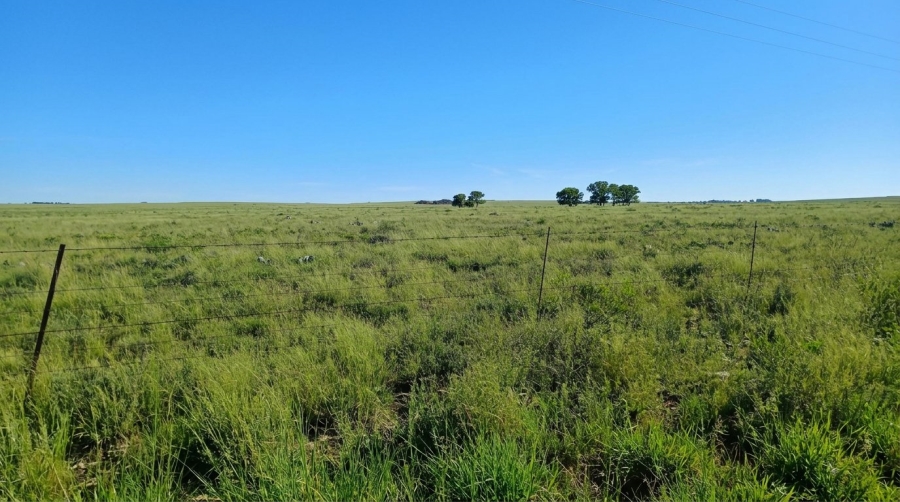Commercial Property for Sale in Fauresmith Rural Free State